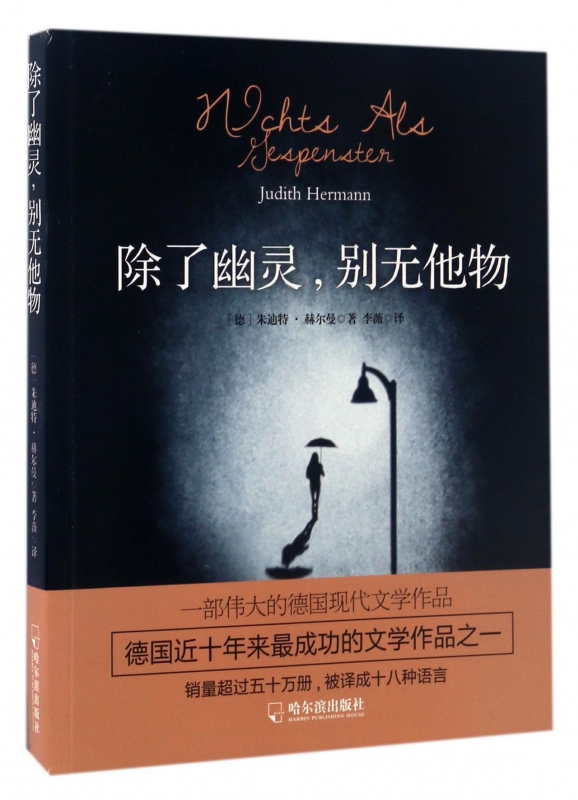 除了幽灵别无他物