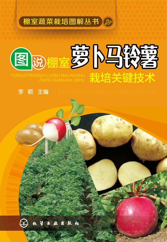 图说棚室萝卜马铃薯栽培关键技术