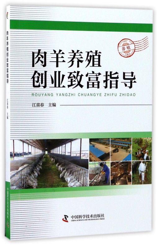 肉羊养殖创业致富指导