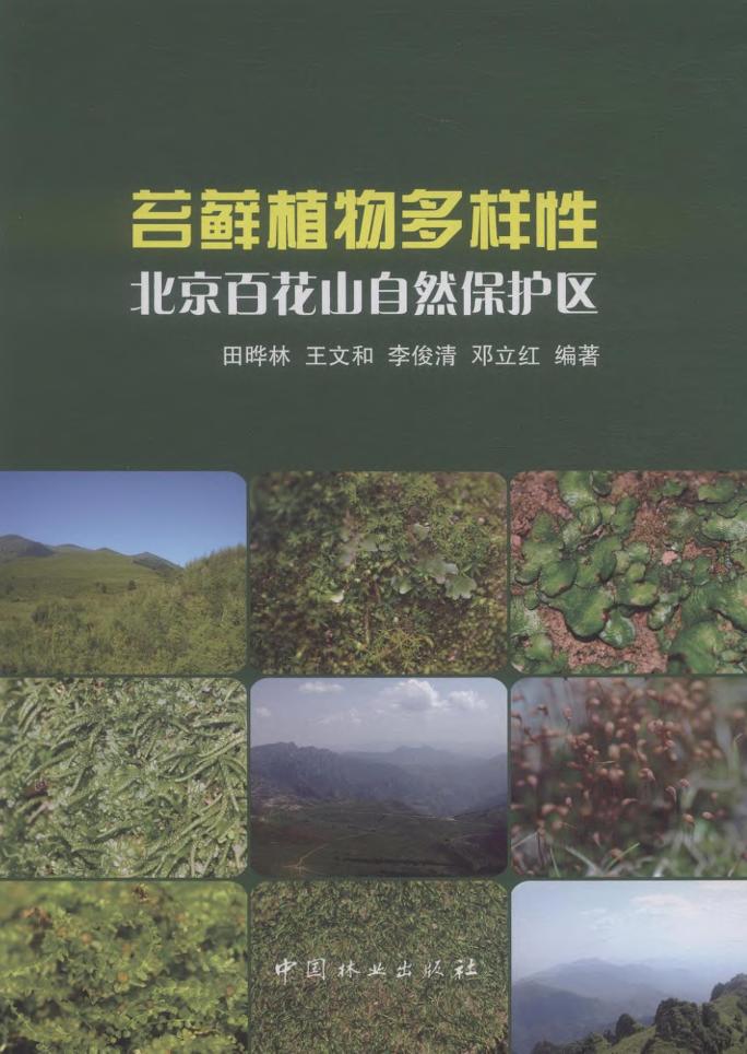 苔藓植物多样北京百花山自然保护区