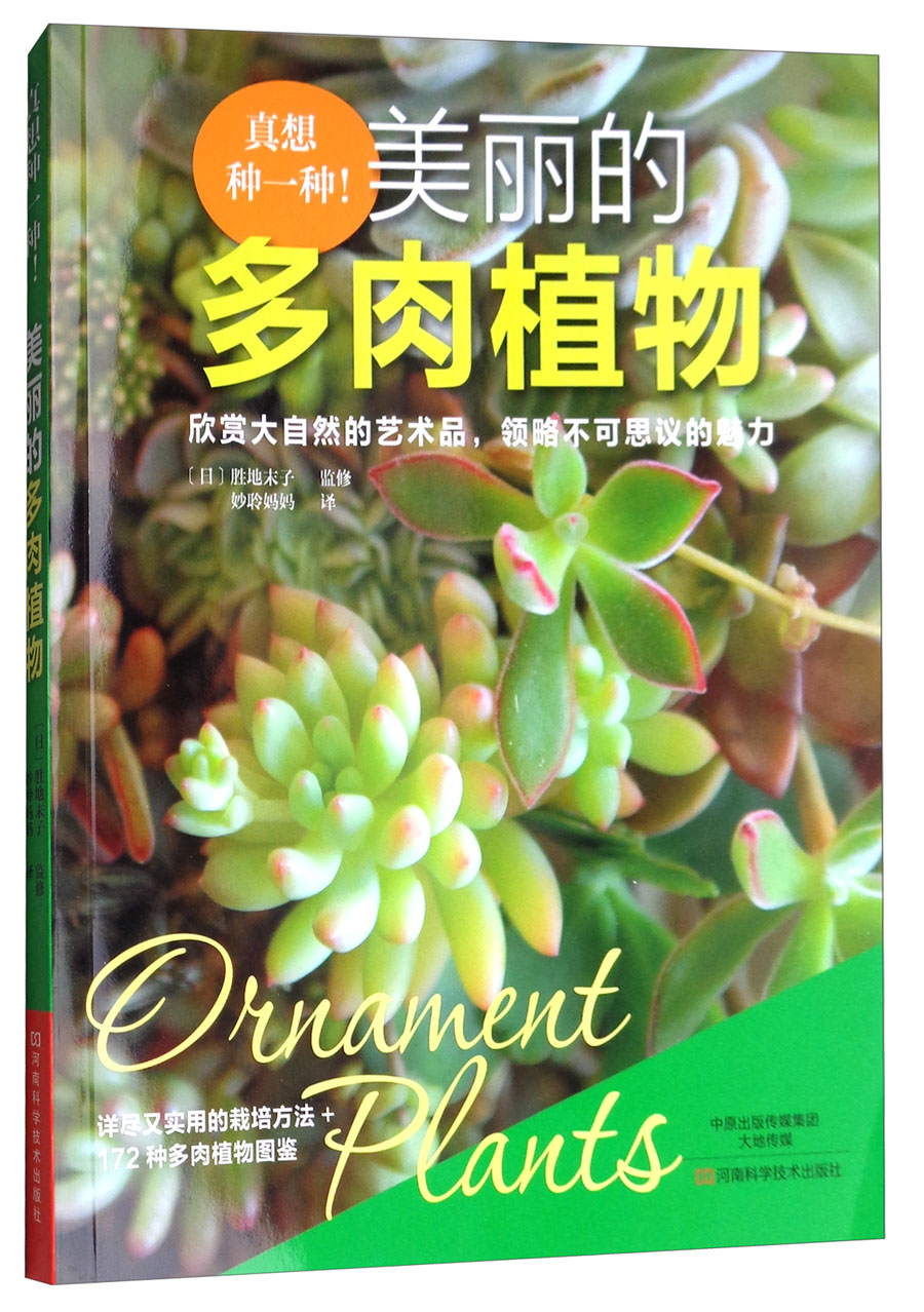 真想种一种！美丽的多肉植物