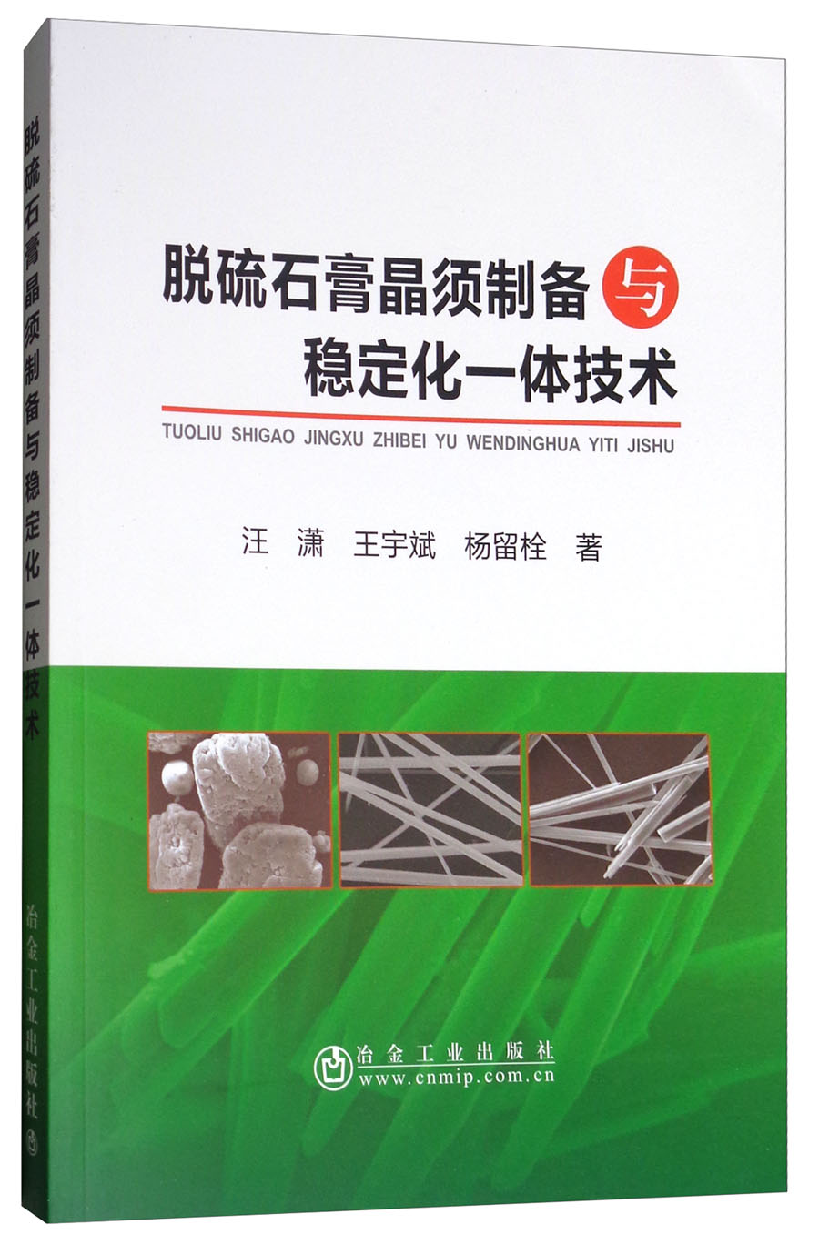 脱硫石膏晶须制备与稳定化一体技术