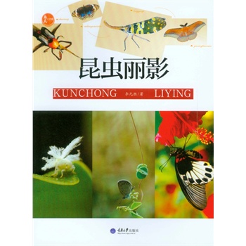 昆虫丽影 李元胜
