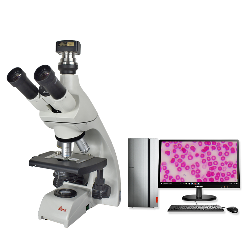 DM500显微镜DM500三目生物显微镜可连接WIFI宠物医院渔业养殖业水产显微镜LIOO双目 三目+1200万摄像头