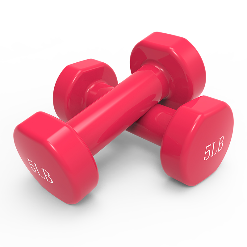 创思维 哑铃浸塑环保男女运动小哑铃锻炼家用健身器材 CSW101红色5LB*2