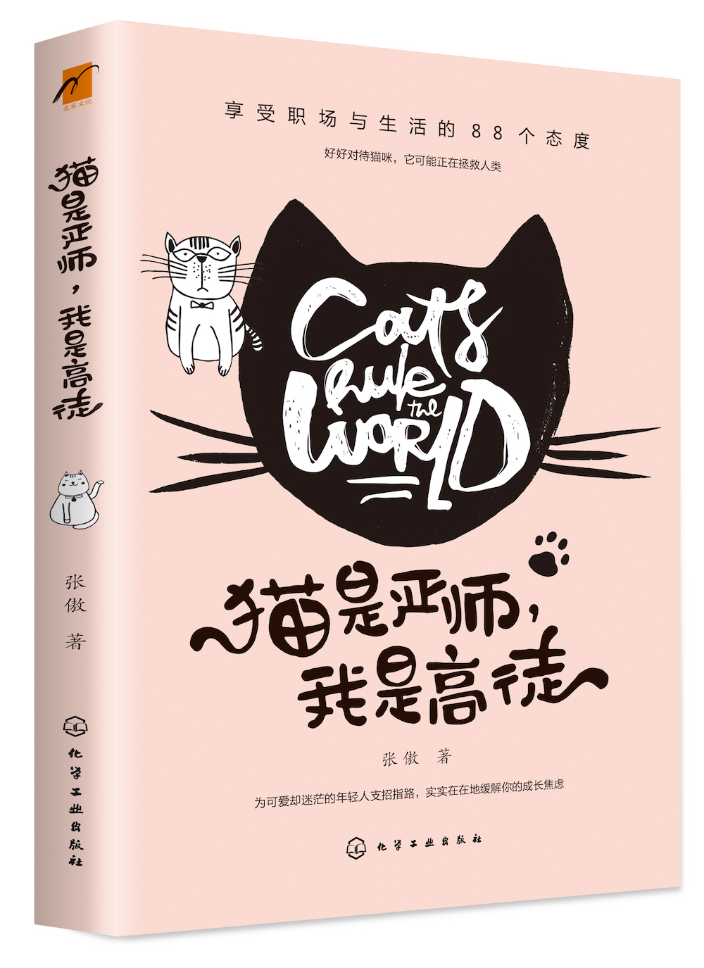 猫是严师，我是高徒