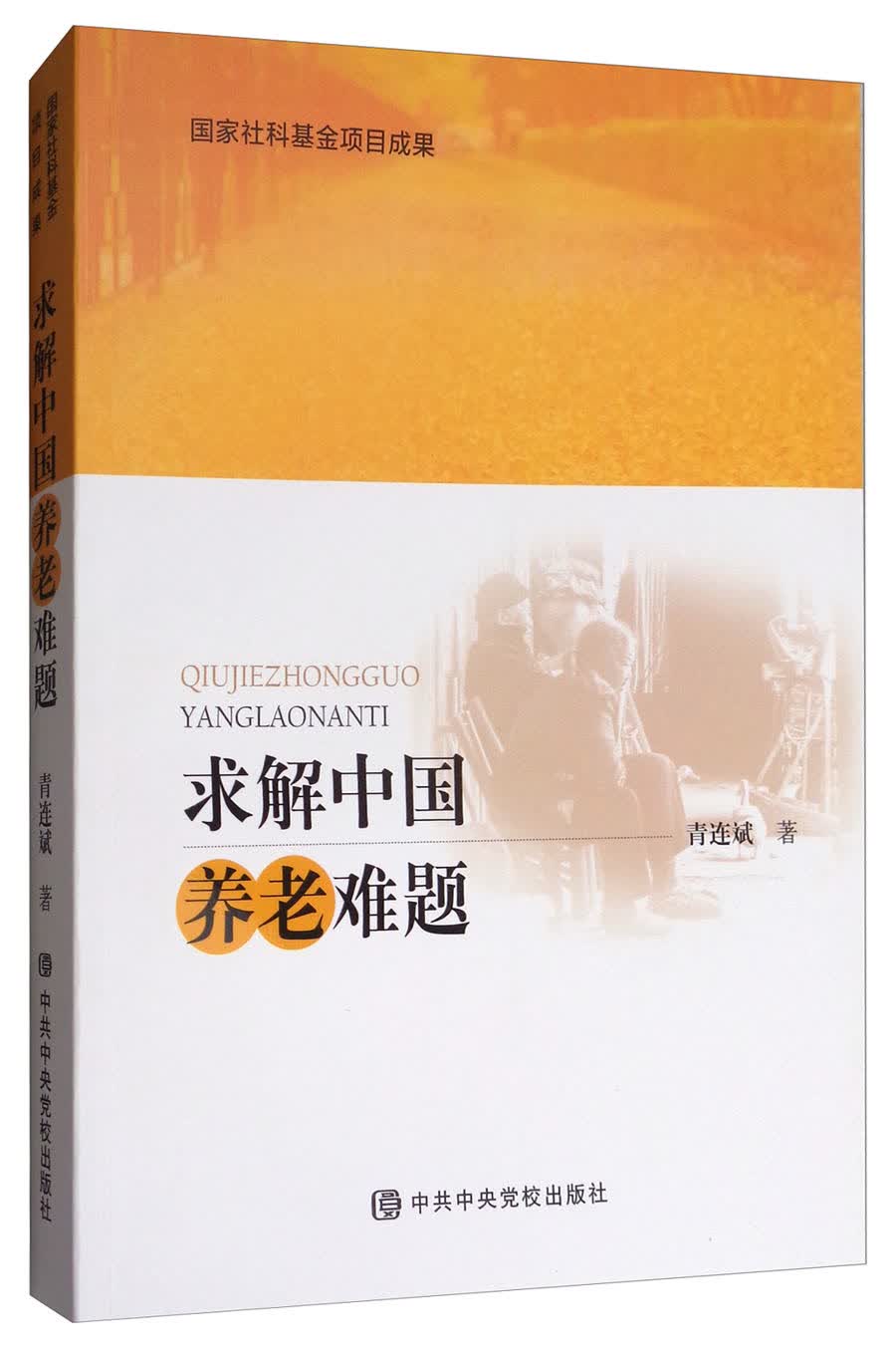 求解中国养老难题