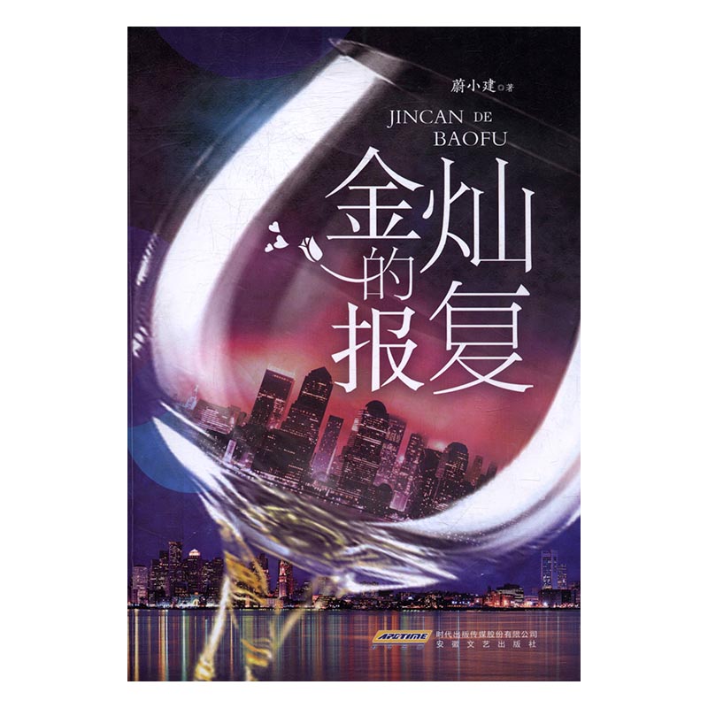 金灿的报复 小说 书籍
