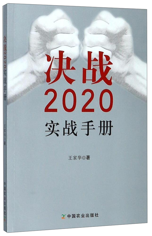 决战2020实战手册