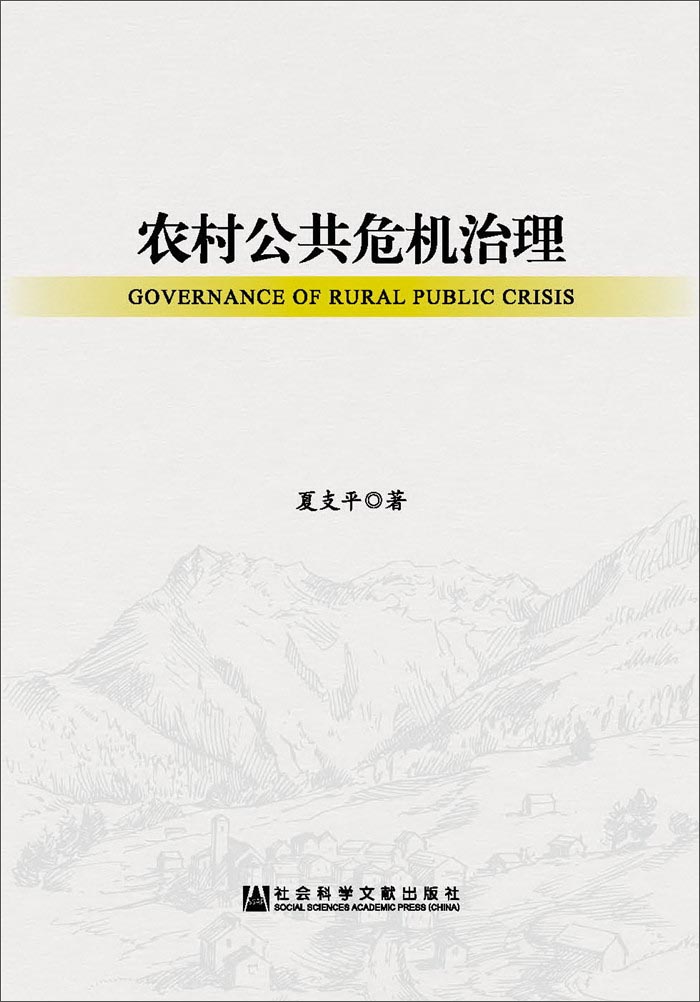 农村公共危机治理
