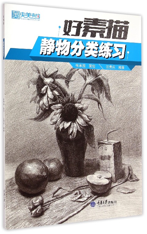好素描(静物分类练习)/央美有约