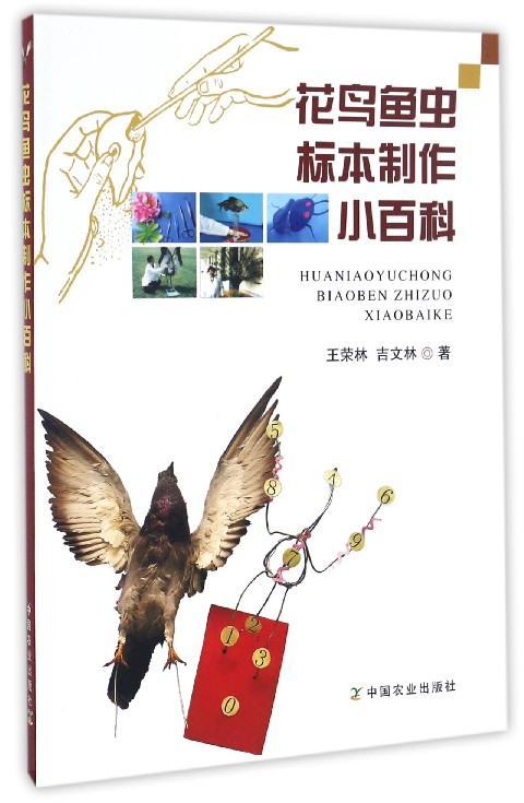 花鸟鱼虫标本制作小百科
