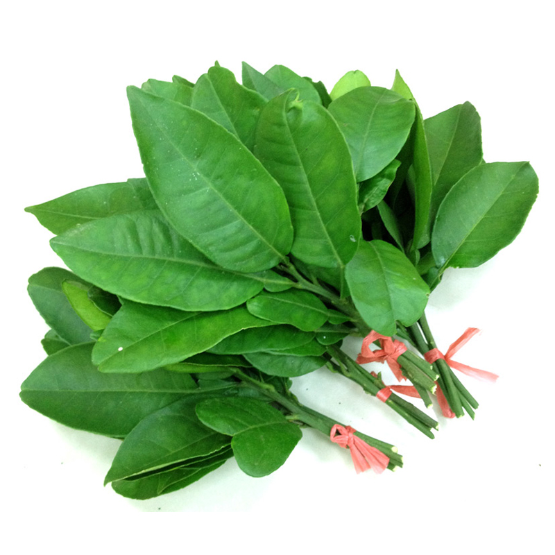 哪款沙田柚销量好_2023年沙田柚热销榜 - 十大牌子网