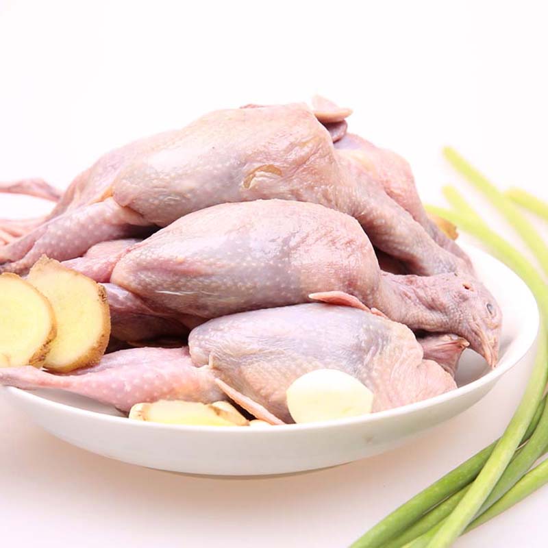 博多客 新鲜鹌鹑肉 农家鹌鹑肉 活鹌鹑鸟肉现杀发货煲汤 12只装约1.