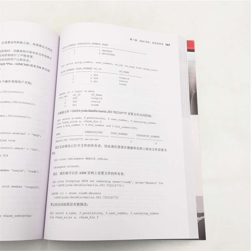 云端存储 Oracle ASM核心指南详情图