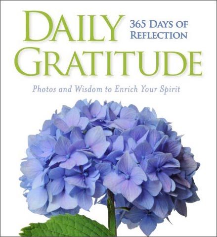 Daily Gratitude: 365 Days of Reflection