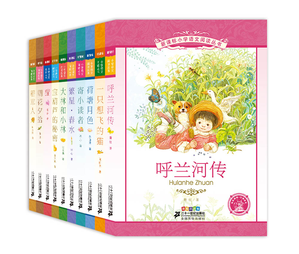 新课标小学语文阅读丛书（第十辑 彩绘注音版 套装共10册）