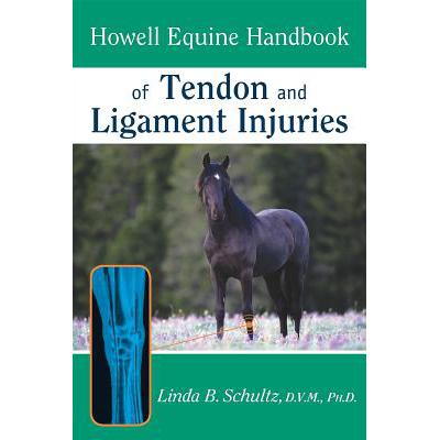 预订 Howell Equine Handbook of Tendon and Ligamen...