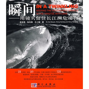 瞬间