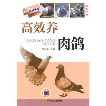 高效养肉鸽 鸽子养殖技术书大全 鸽子疾病诊断与防治 养鸽子书籍 新华书店正版