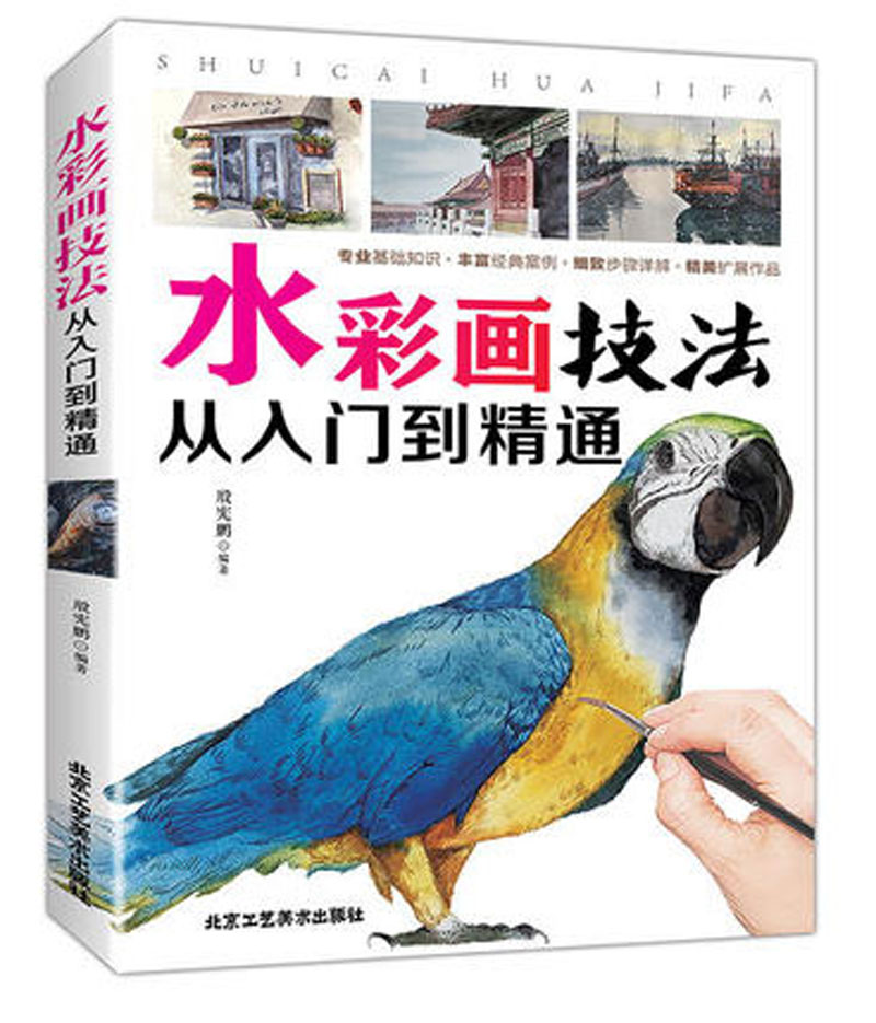 水彩画技法 从入门到精通