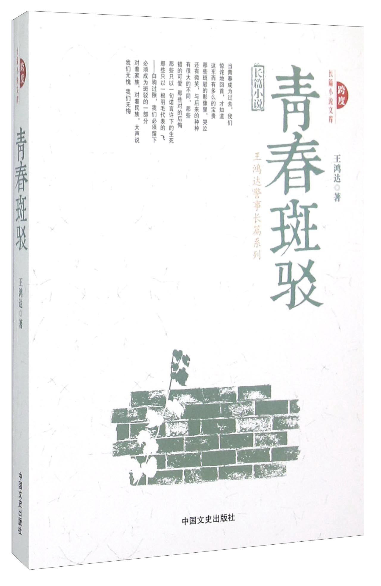 跨度长篇小说文库：青春斑驳