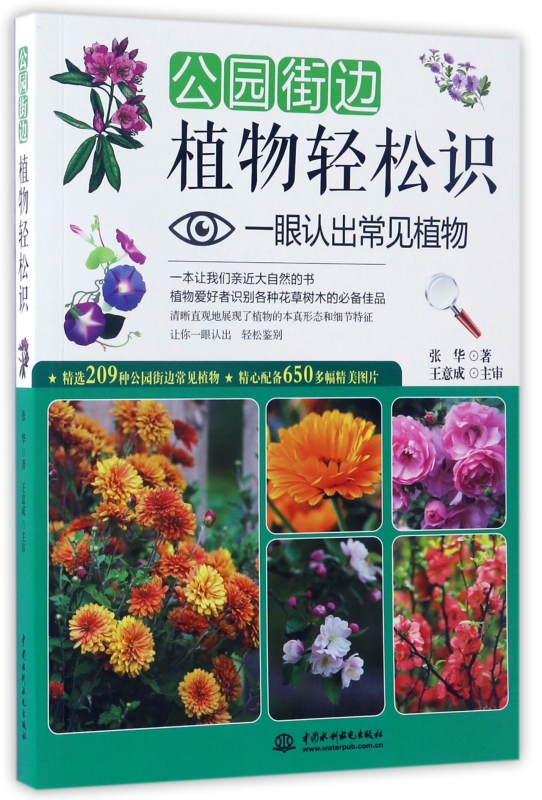 公园街边植物轻松识(一眼认出常见植物)