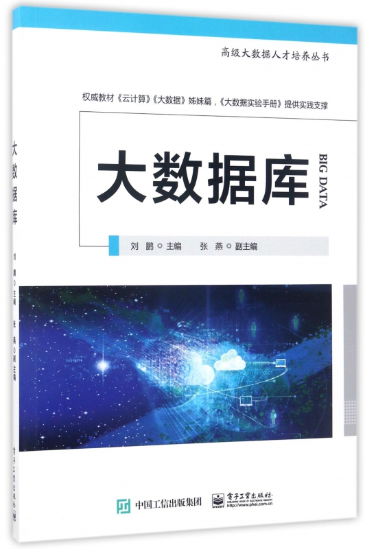 大数据库/高级大数据人才培养丛书