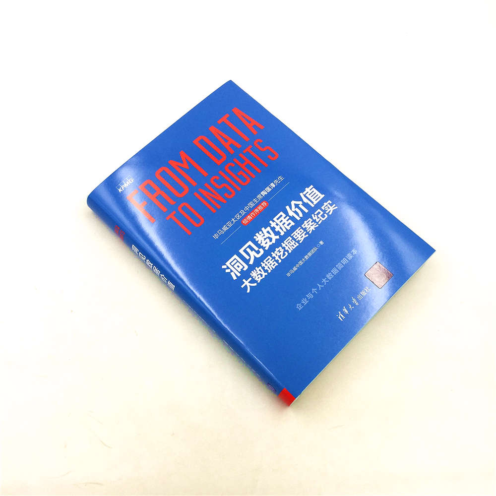 洞见数据价值：大数据挖掘要案纪实详情图