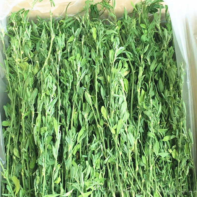参考评价知道秀恩兔粮提摩西草使用感受好不好，了解三星期感受告知