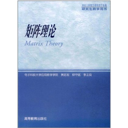 正版现货 矩阵理论 黄延祝 9787040119428 高等教育出版社