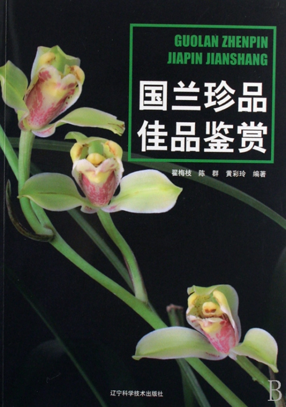 国兰珍品佳品鉴赏