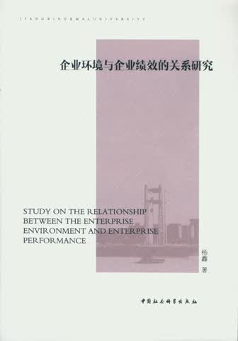 企业环境与企业绩效的关系研究