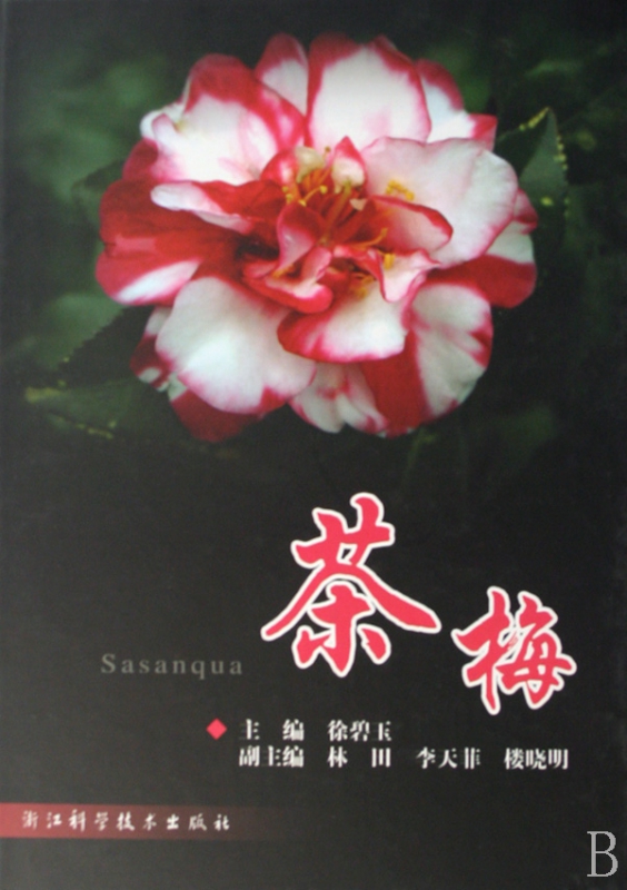 茶梅(精)