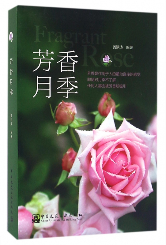 芳香月季