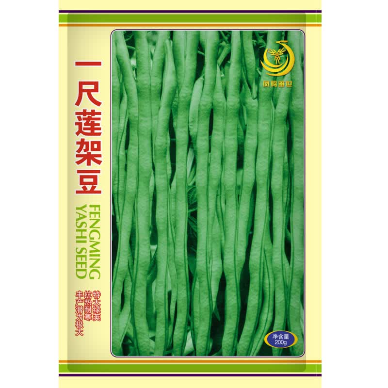 泰国无筋架豆种子长芸豆菜豆青豆高产春季秋冬四季菜种子盆栽豆角籽