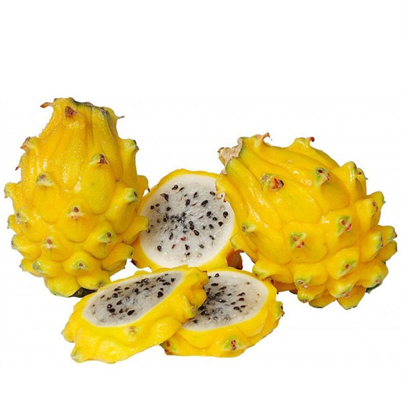 源外园【帆儿庄园】黄心火龙果麒麟果金燕窝果黄色火龙果应季孕妇时令