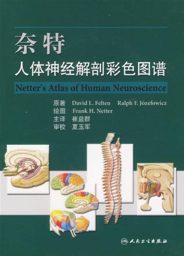现货 奈特人体神经解剖图谱（翻译版）人民卫生出版社 美 费尔腾
