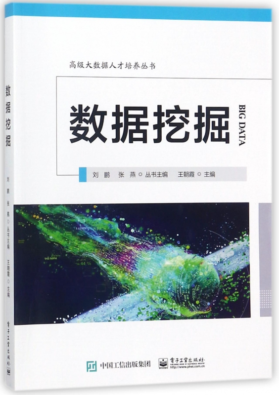 数据挖掘/高级大数据人才培养丛书