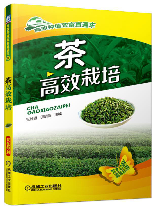 茶高效栽培（双色印刷 高清彩插）