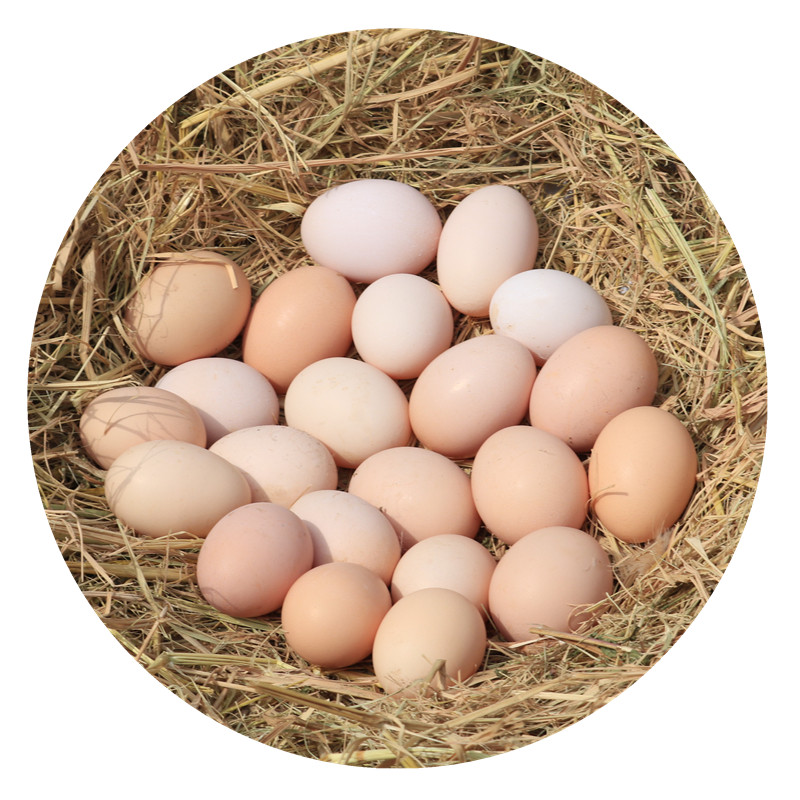 九华粮品 初生蛋 40枚 农家笨鸡蛋 柴鸡蛋 小鸡蛋