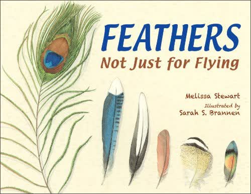 Feathers: Not Just for Flying 