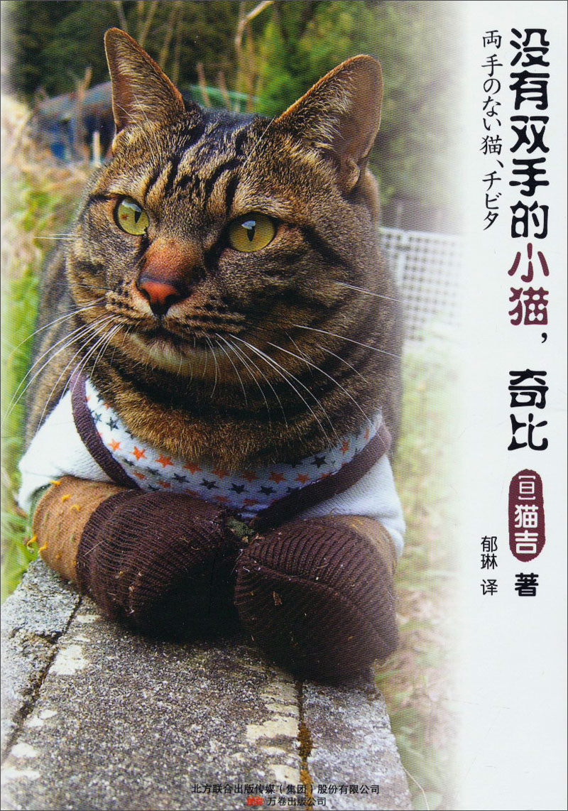 没有双手的小猫，奇比