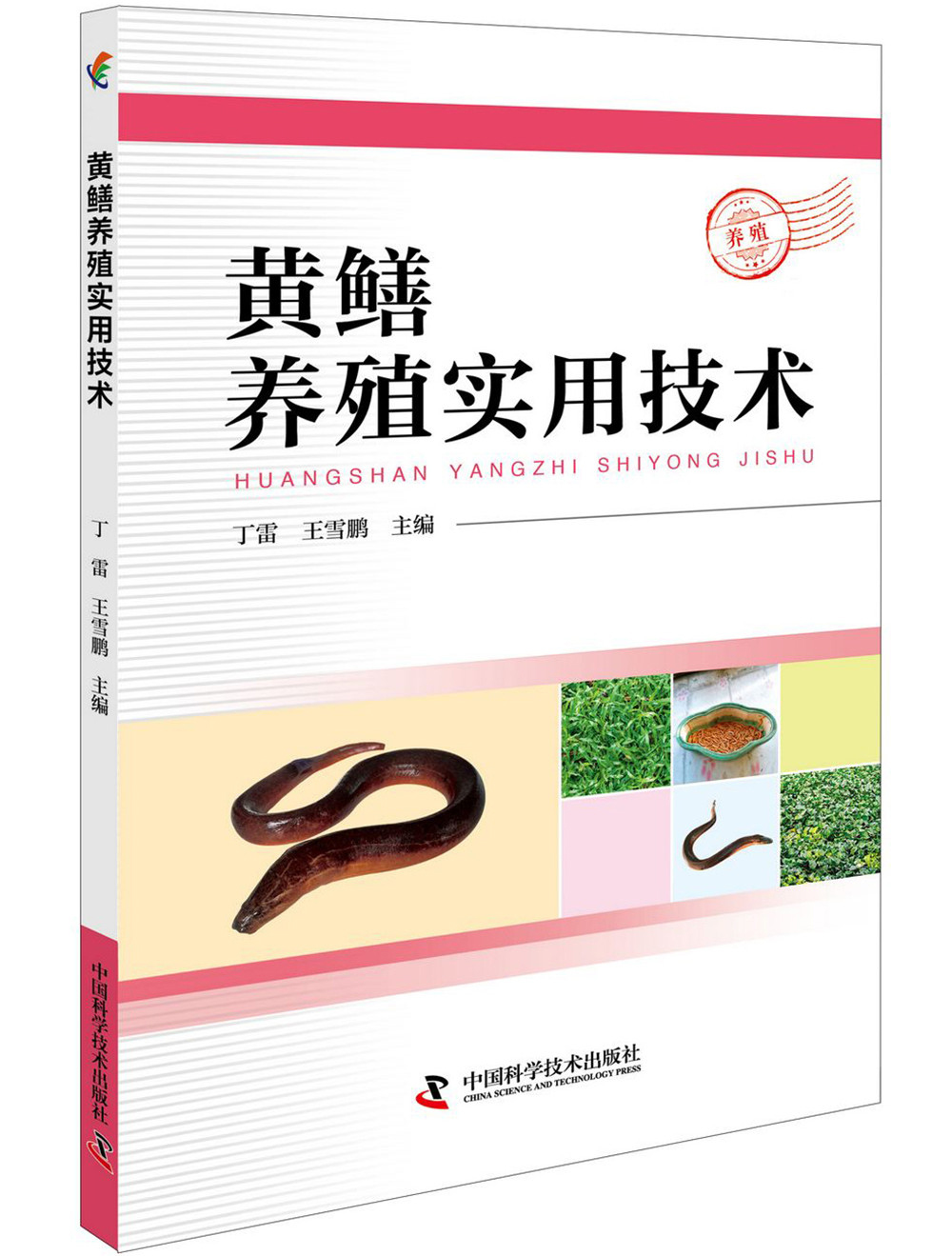 [正版图书]黄鳝养殖实用技术