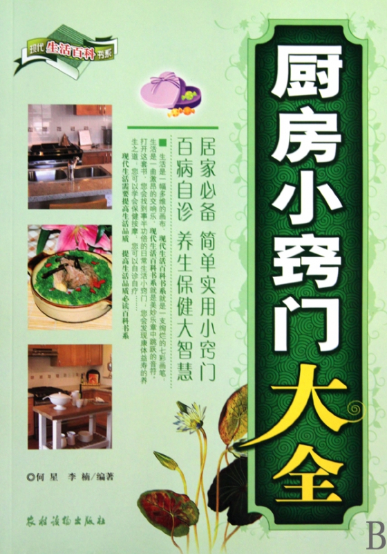 厨房小窍门大全/现代生活百科书系