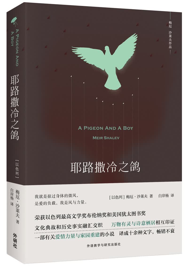 耶路撒冷之鸽