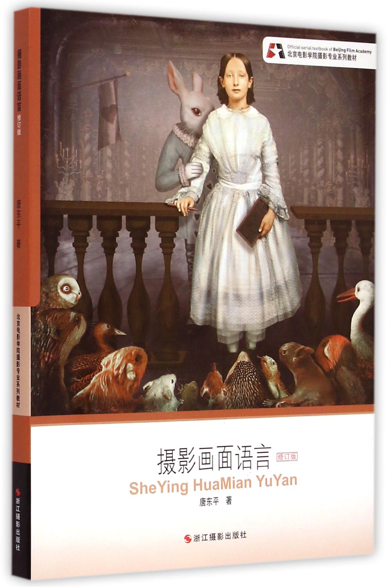 北京电影学院摄影专业系列教材:摄影画面语