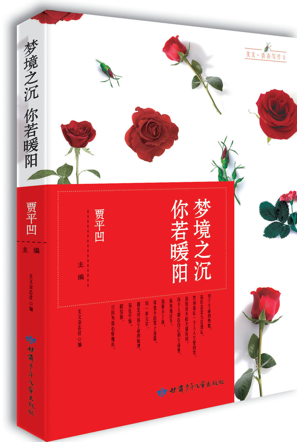 梦境之沉你若暖阳/美文青春写作