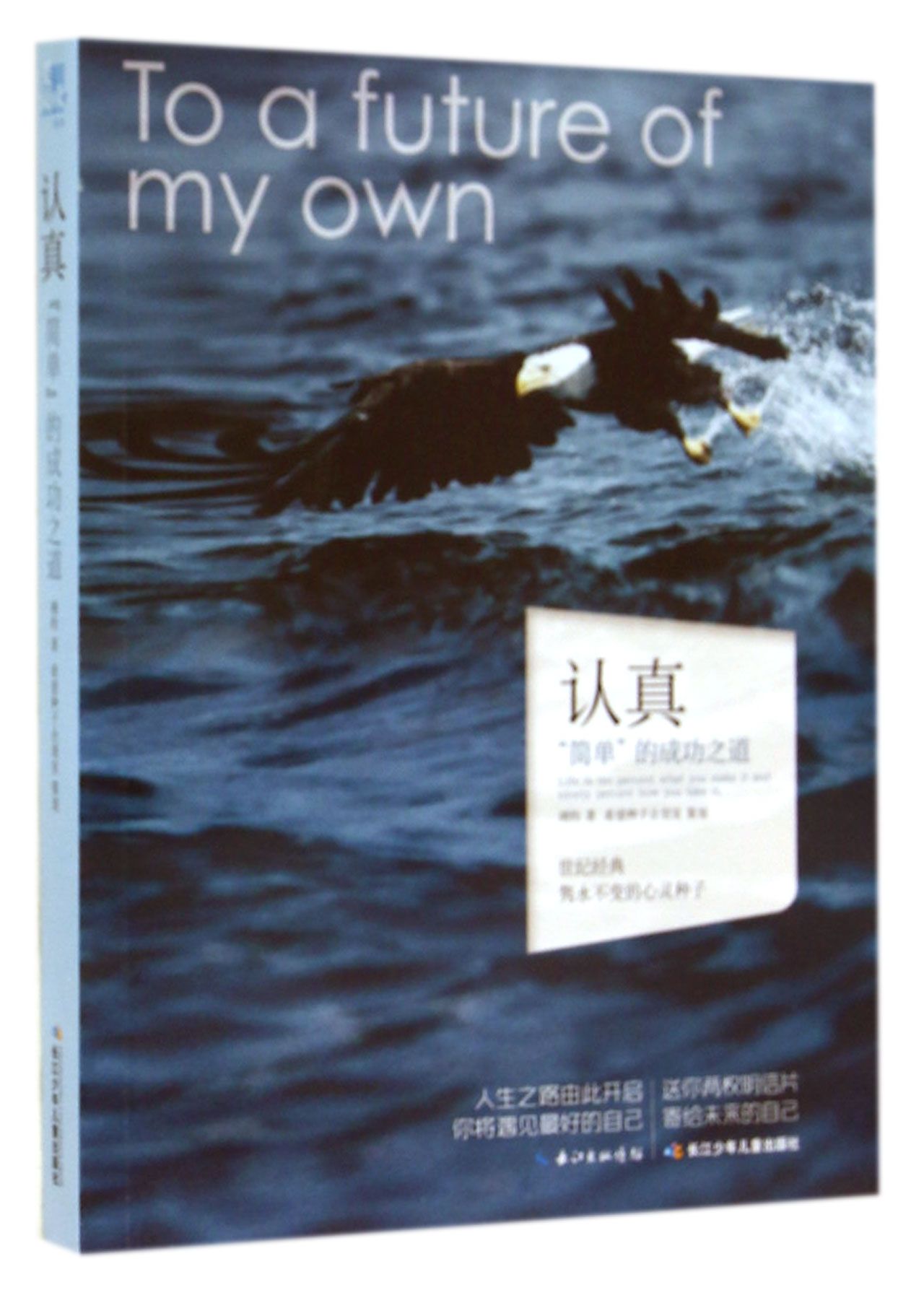 认真(简单的成功之道)