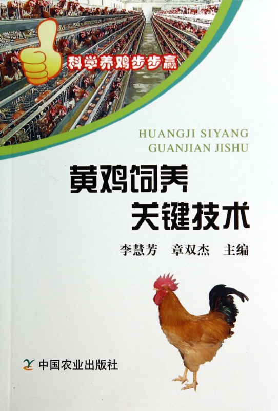 黄鸡饲养关键技术/科学养鸡步步赢